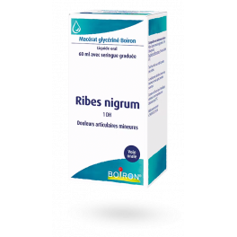 https://www.pharmacie-place-ronde.fr/16014-thickbox_default/ribes-nigrum-1-dh-boiron-macerat-glycerine.jpg