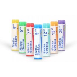 https://www.pharmacie-place-ronde.fr/16144-thickbox_default/ailanthus-glandulosa-boiron-tubes-granules-doses-homeopathie.jpg