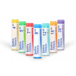 https://www.pharmacie-place-ronde.fr/16163-thickbox_default/baptisia-tinctoria-boiron-tubes-granules-doses-homeopathie.jpg