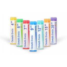 https://www.pharmacie-place-ronde.fr/16192-thickbox_default/clematis-erecta-boiron-tubes-granules-doses-homeopathie.jpg