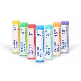 https://www.pharmacie-place-ronde.fr/16338-thickbox_default/teucrium-marum-boiron-tubes-granules-doses.jpg